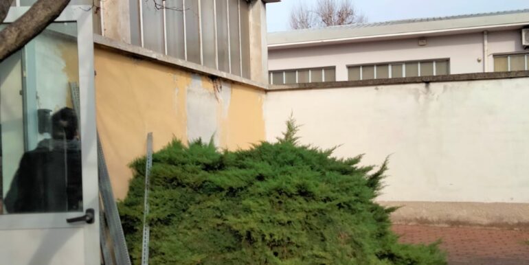 IMG-20220224-WA0001